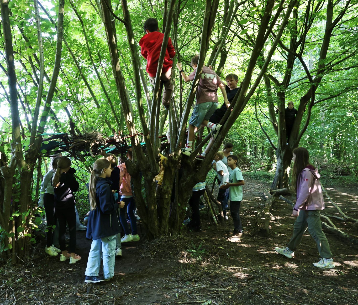 Wildnistraining der Klasse 5e im Bio-Zentrum