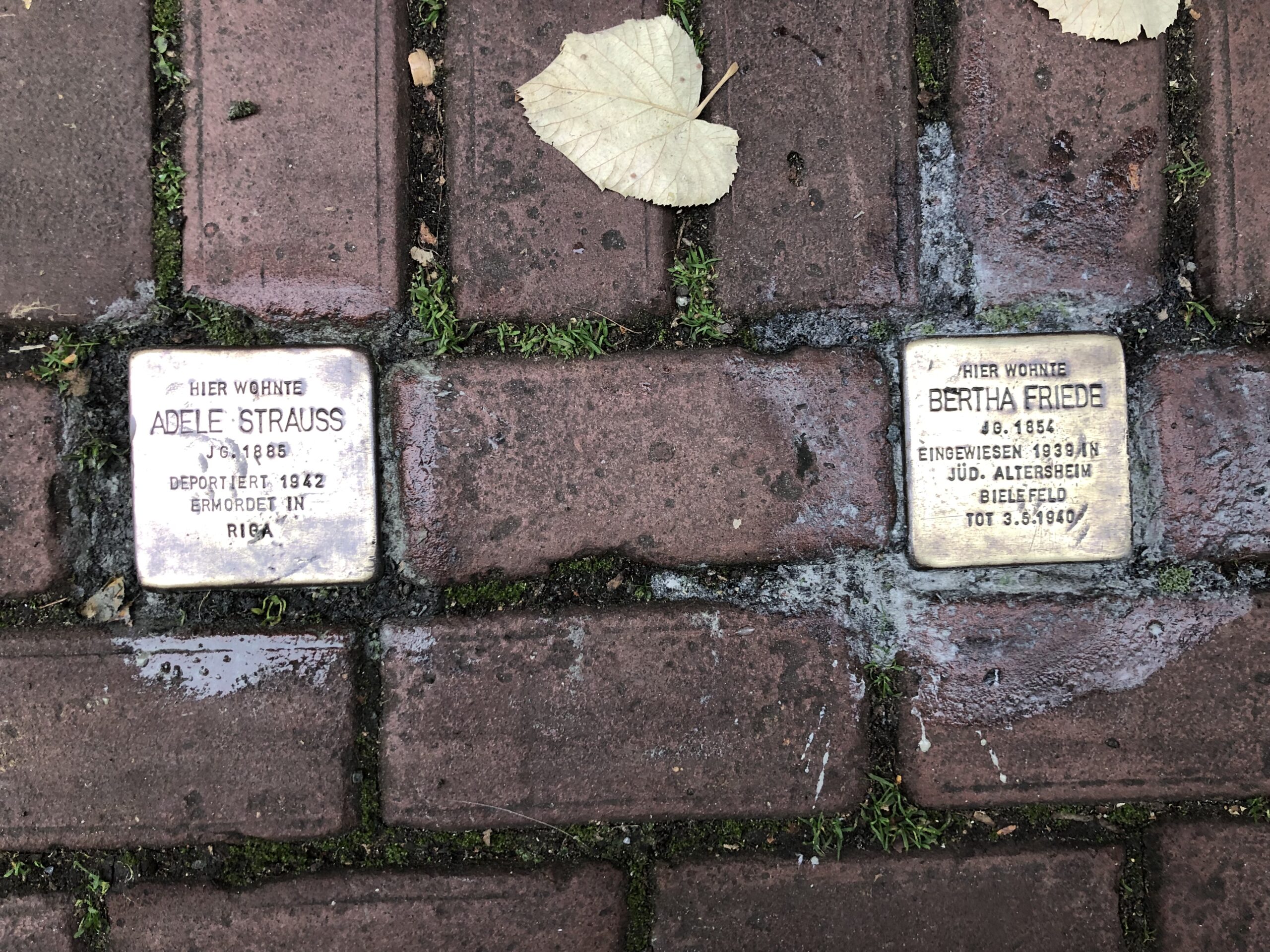 Die Stolpersteine glänzen wieder