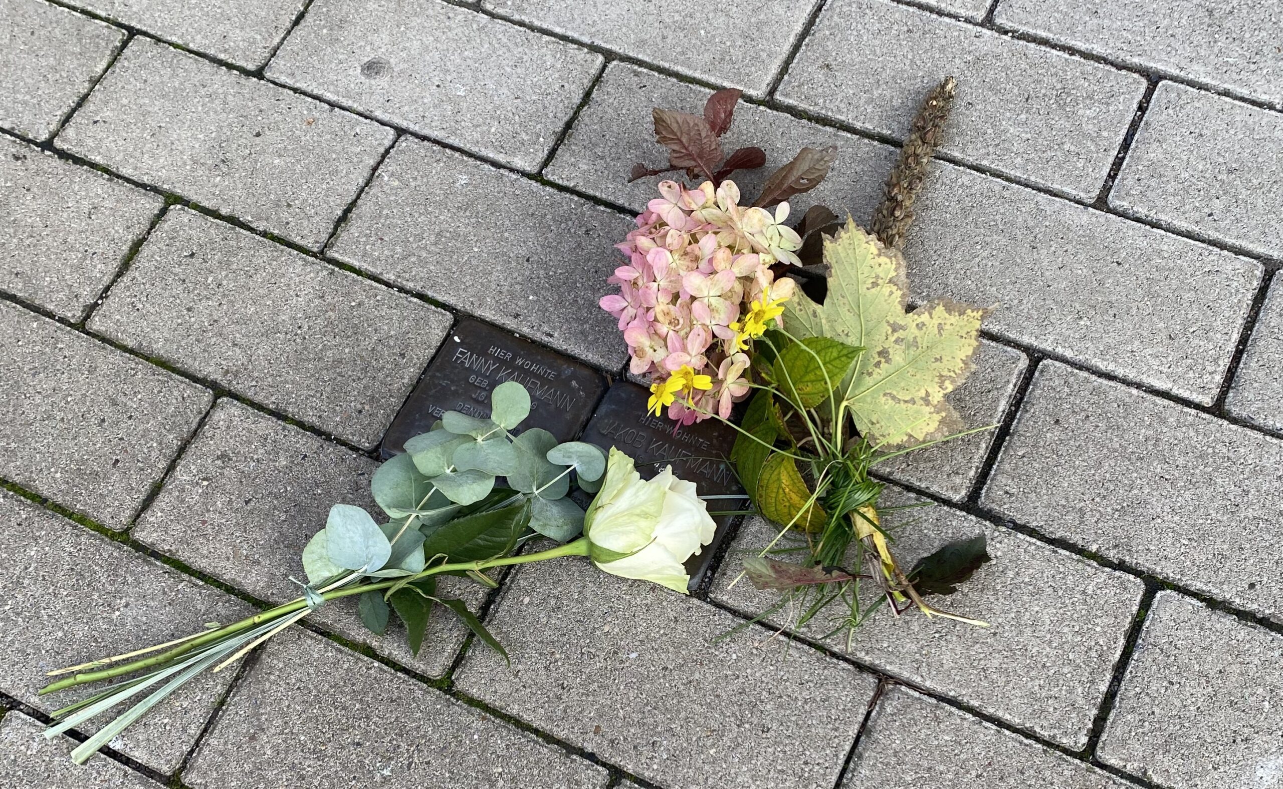 Auf den Spuren der Stolpersteine