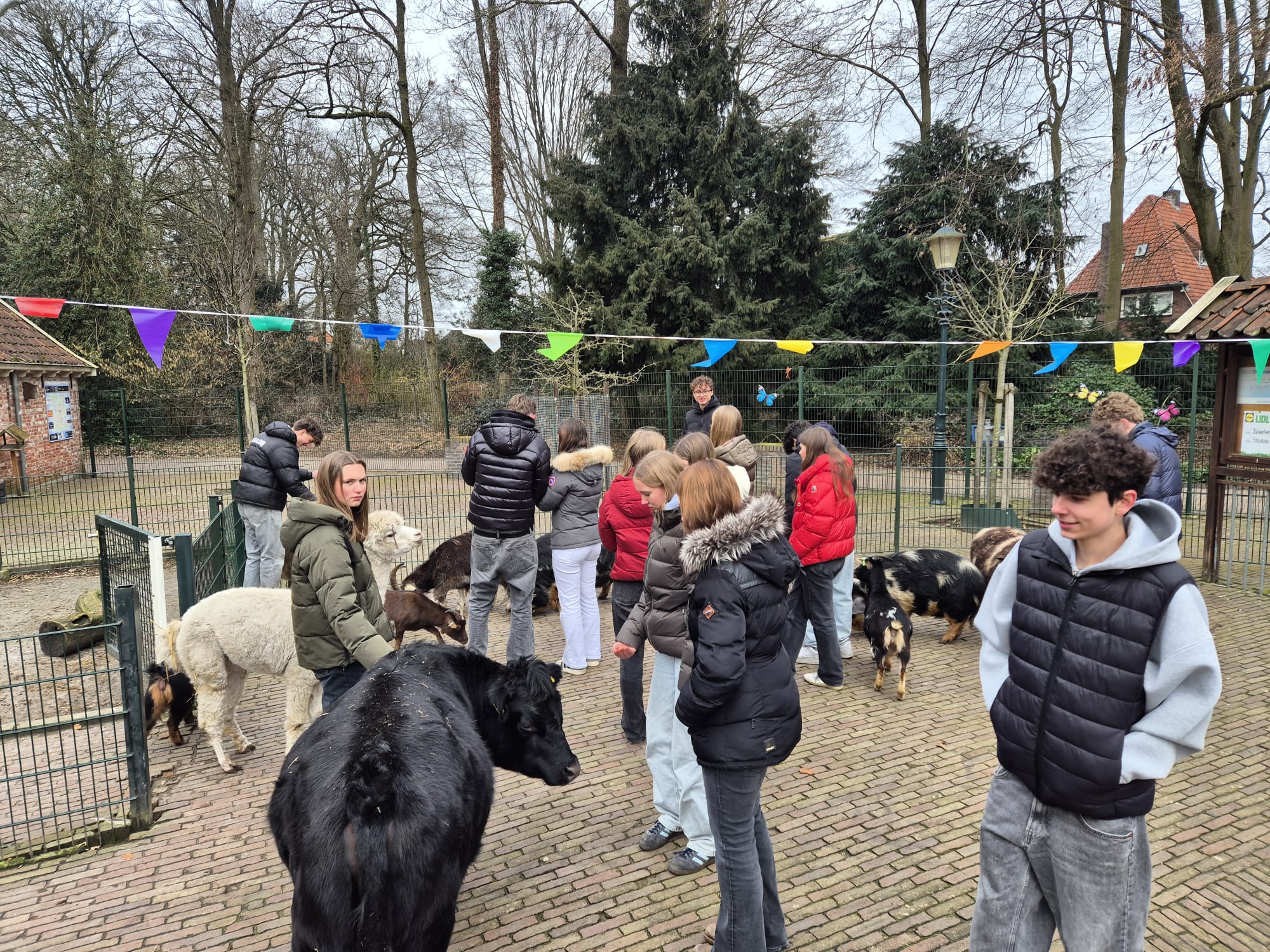Viel Spaß mit den Niederländern am Bonhoeffer College