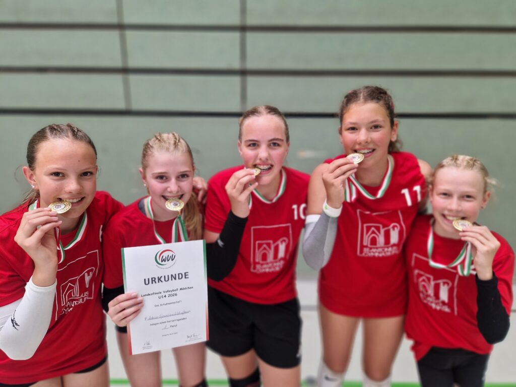 Volleyball Juli1
