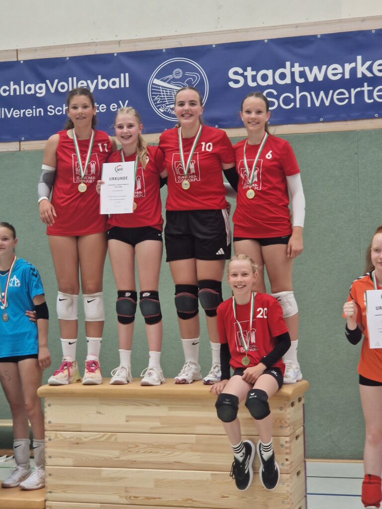 Volleyball Juli2